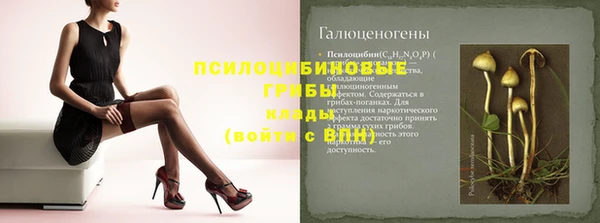 jwh Вяземский