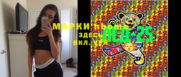 гидра Верхний Тагил