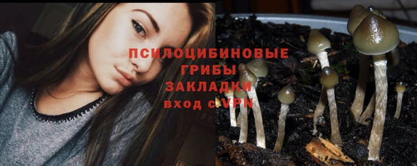 jwh Вяземский