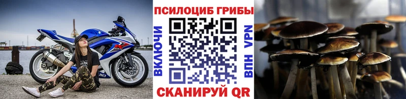 гидра вход  Изобильный  Псилоцибиновые грибы мицелий 